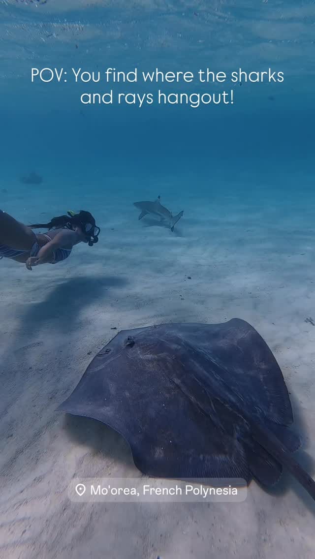 Post 3 by Anthony Jara on Instagram (video)