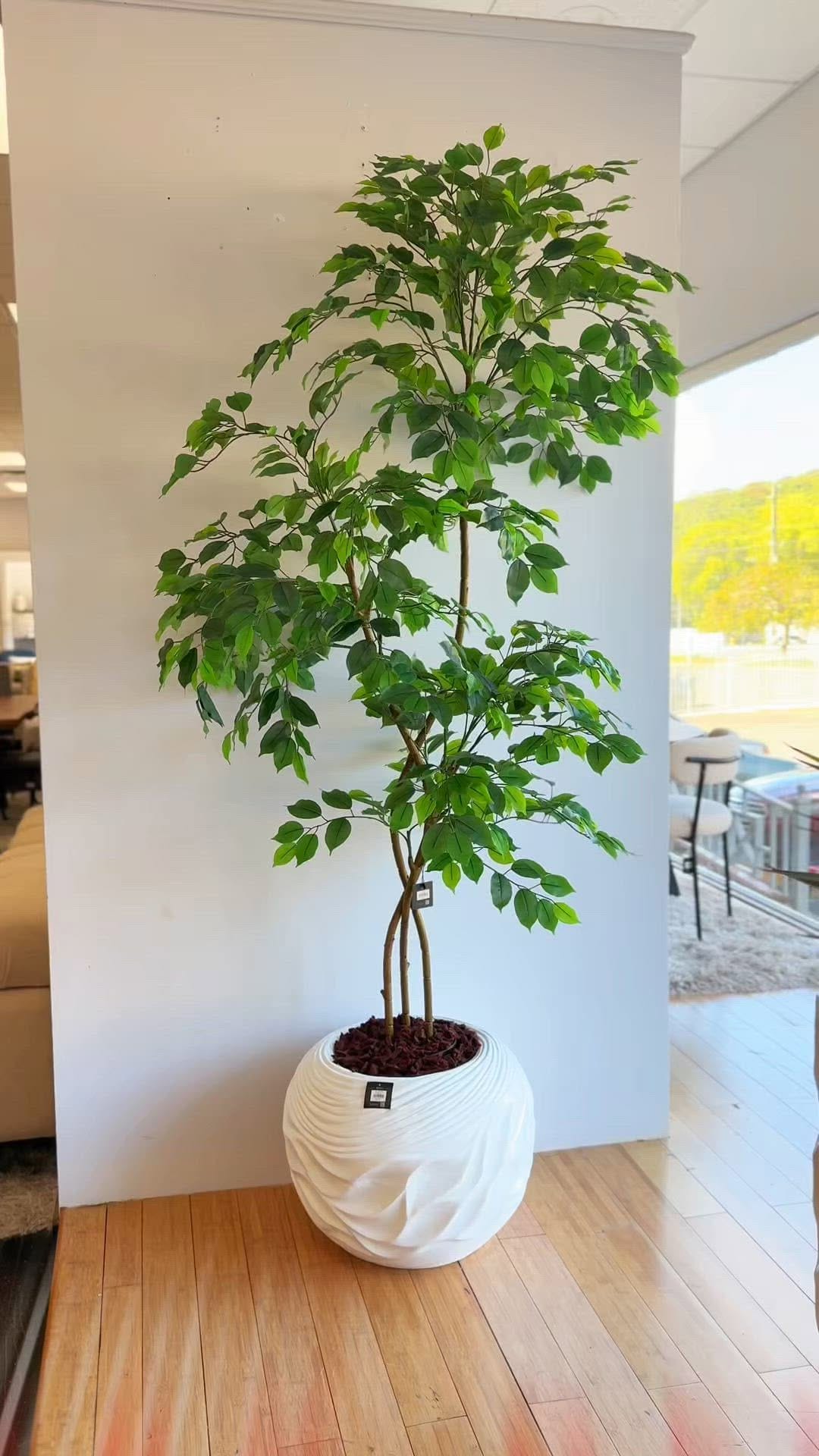 Post 2 by Casa Febus Home Design on Instagram (video)
