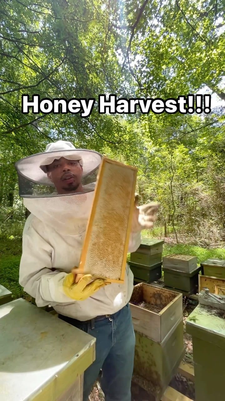 Post 6 by Noble Honey Company on Instagram (video)