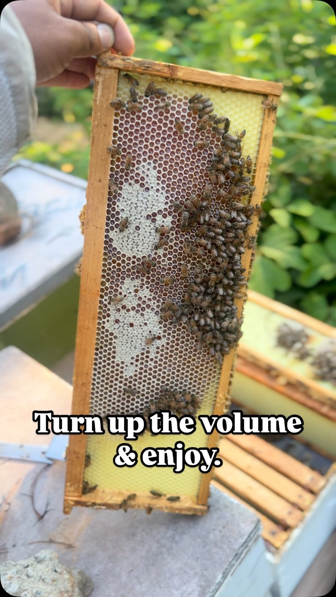 Post 8 by Noble Honey Company on Instagram (video)