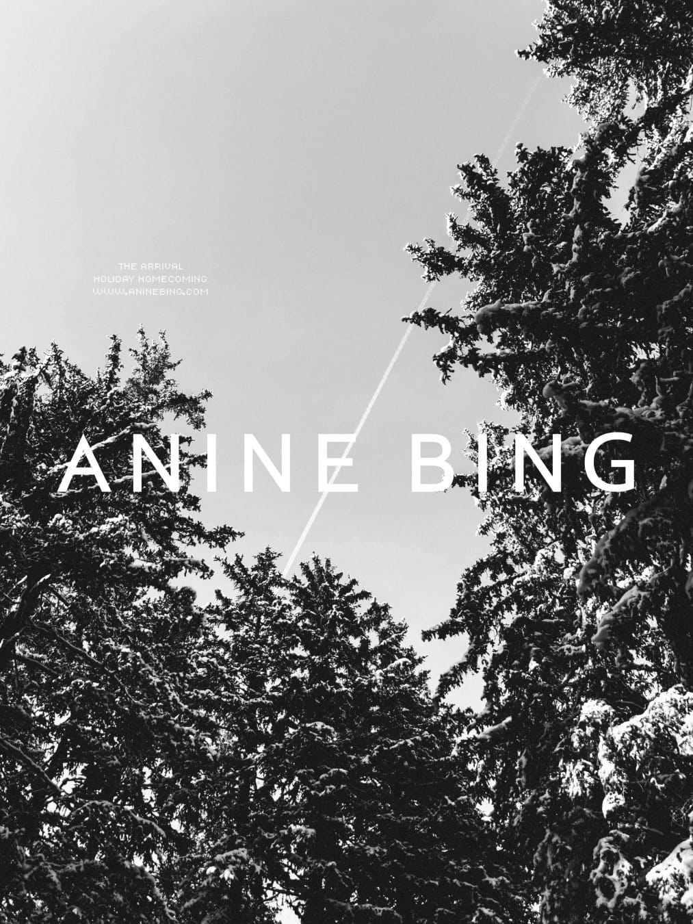 Post 4 by ANINE BING OFFICIAL on Instagram (carousel)