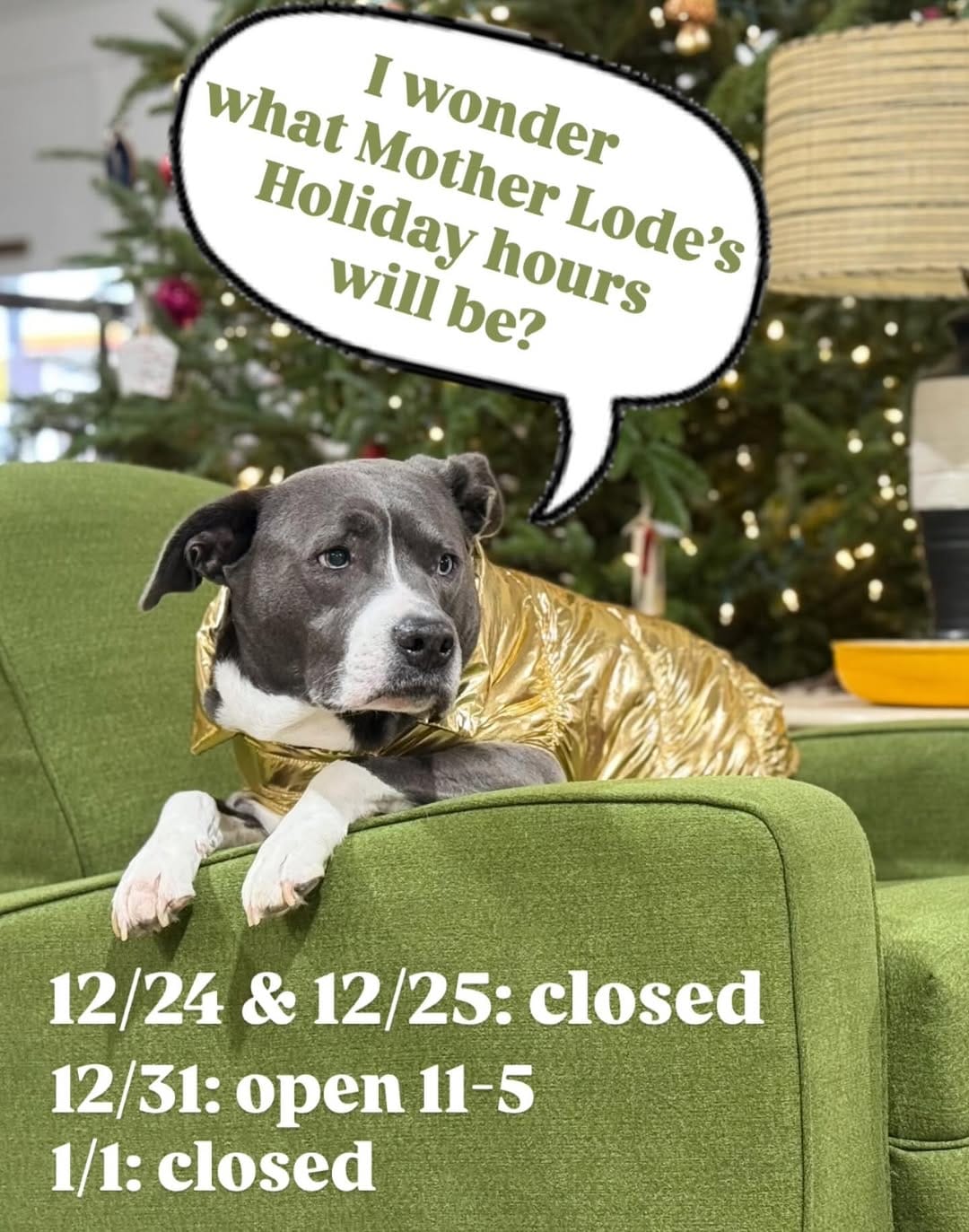 Post 4 by Mother Lode on Instagram (image)