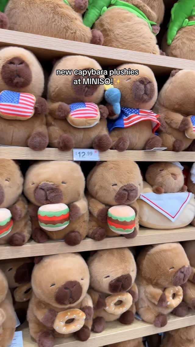 Post 10 by MINISO USA on Instagram (video)