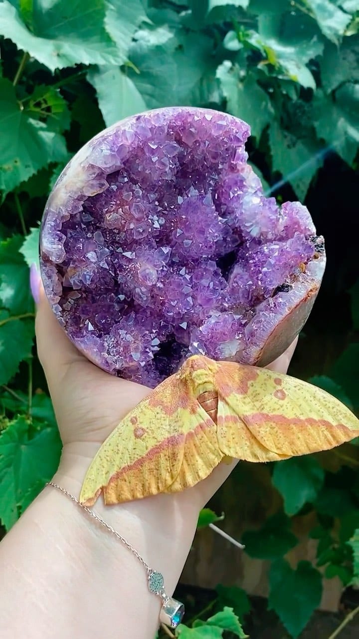 Post 8 by 𝒞𝓇𝑒𝒶𝓉𝒾𝓋𝒾𝓉𝓎 𝒶𝓃𝒹 𝒞𝓇𝓎𝓈𝓉𝒶𝓁𝓈 on Instagram (video)