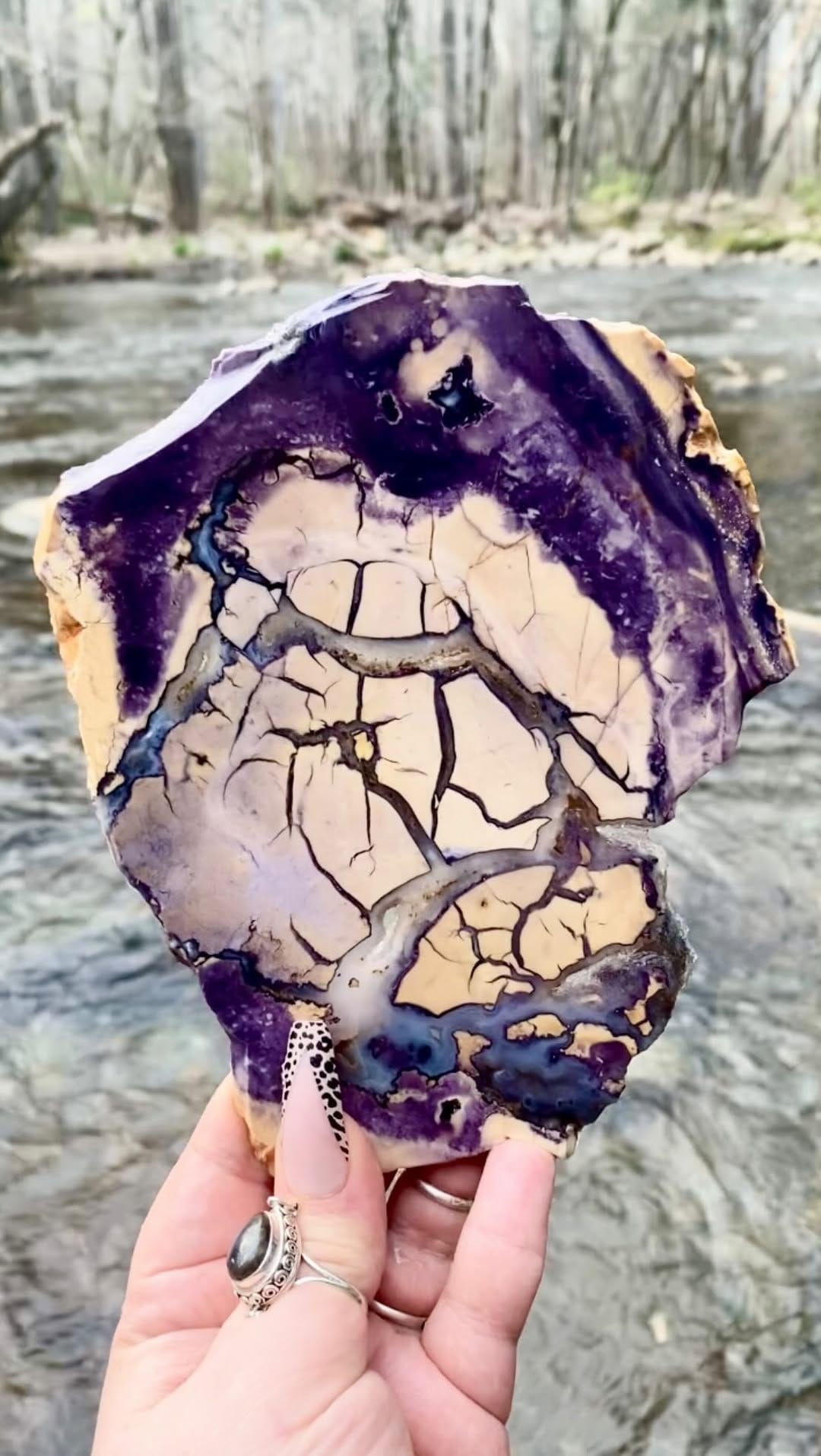 Post 10 by 𝒞𝓇𝑒𝒶𝓉𝒾𝓋𝒾𝓉𝓎 𝒶𝓃𝒹 𝒞𝓇𝓎𝓈𝓉𝒶𝓁𝓈 on Instagram (video)