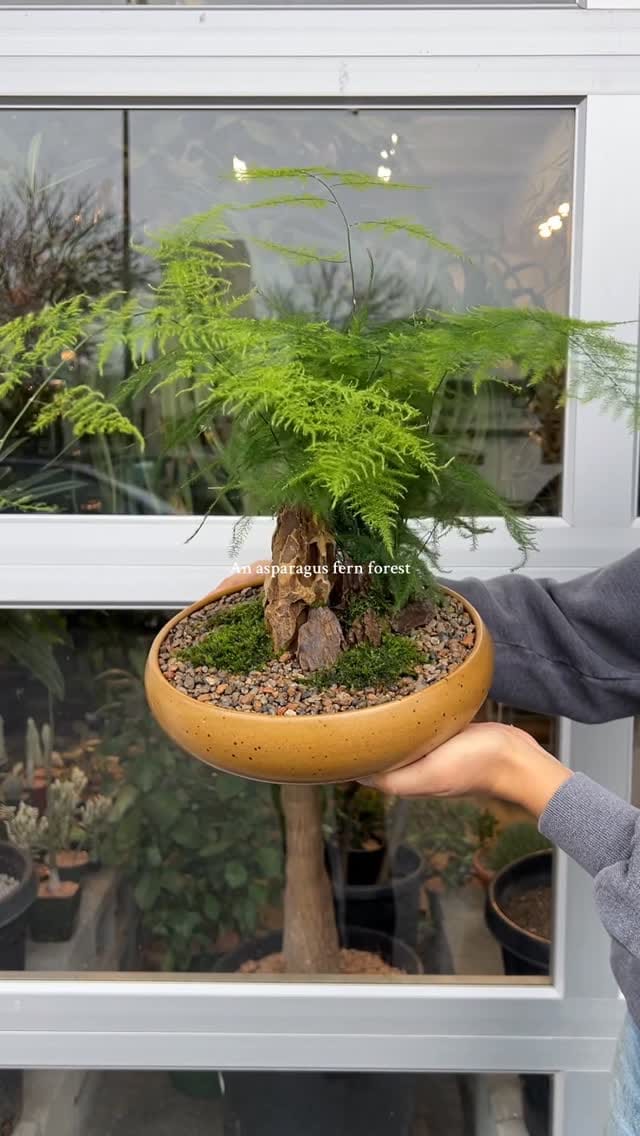 Post 6 by Tylor on Instagram (video)
