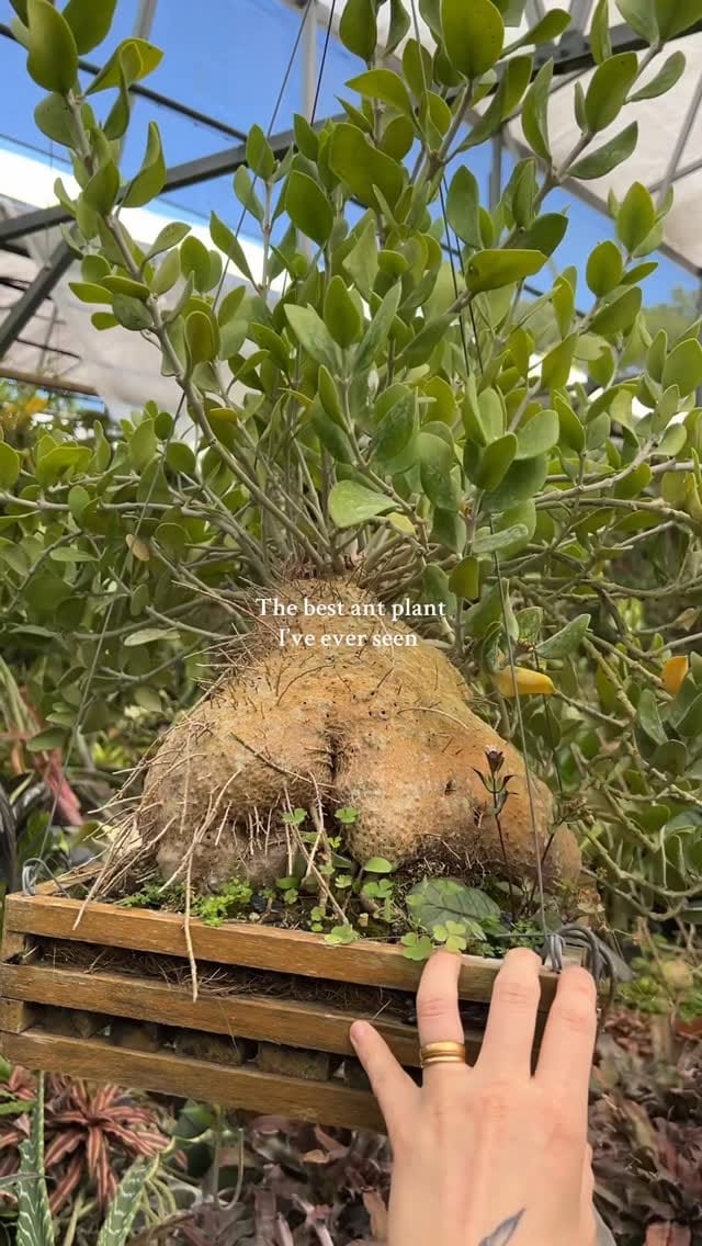 Post 2 by Tylor on Instagram (video)