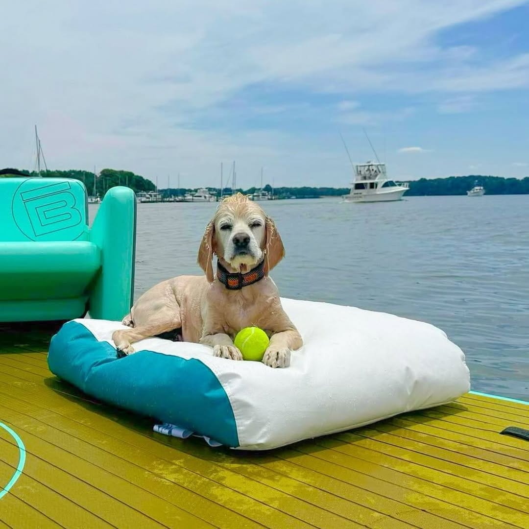 Post 6 by Ocean-Tamer Marine Bean Bags on Instagram (image)