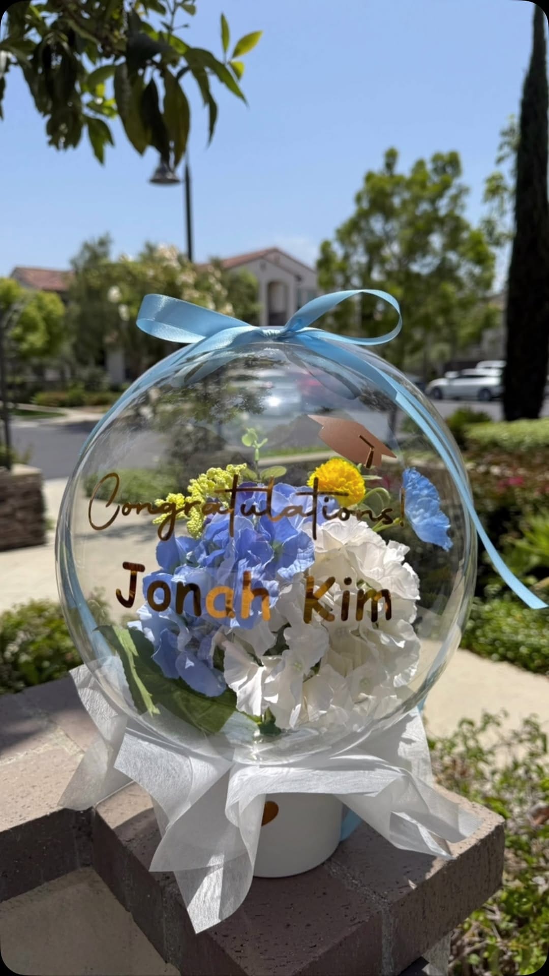 Post 1 by Blossom In a bubble on Instagram (video)