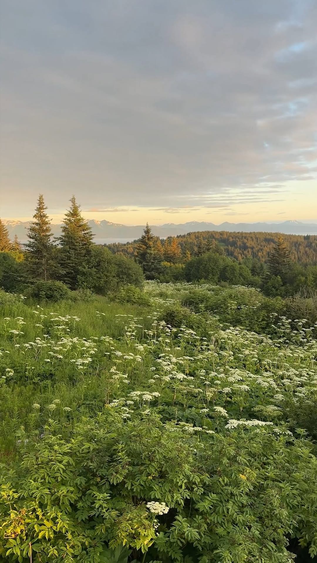 Post 3 by Wild Alaskan Company on Instagram (video)