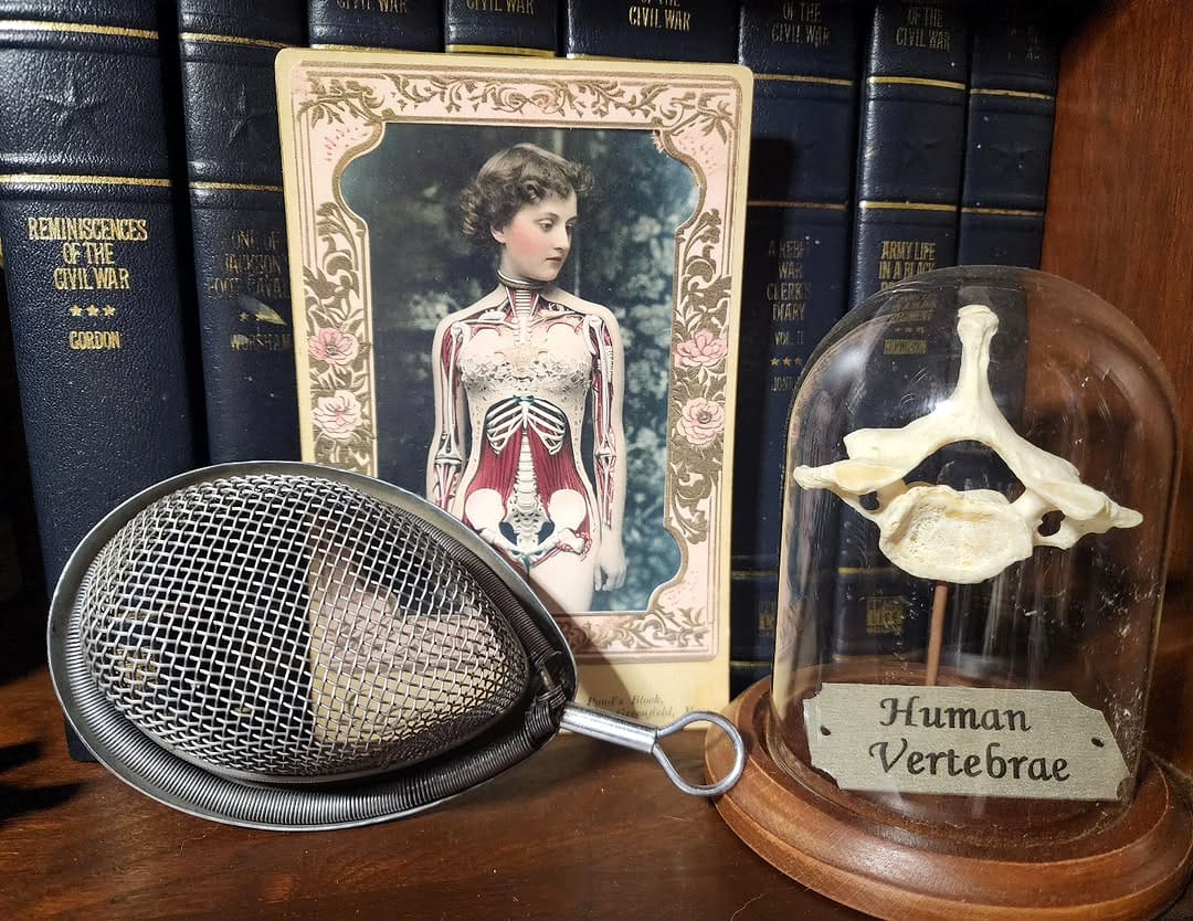 Post 2 by A Vision in Vintage on Instagram (image)