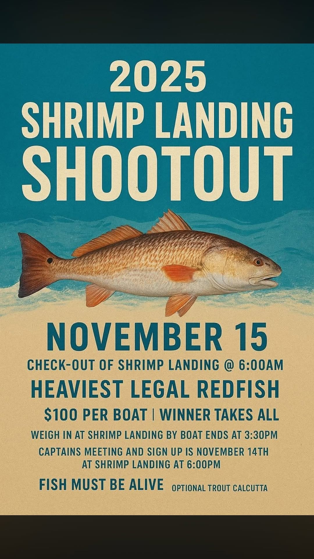 Post 8 by @shrimplanding on Instagram (video)