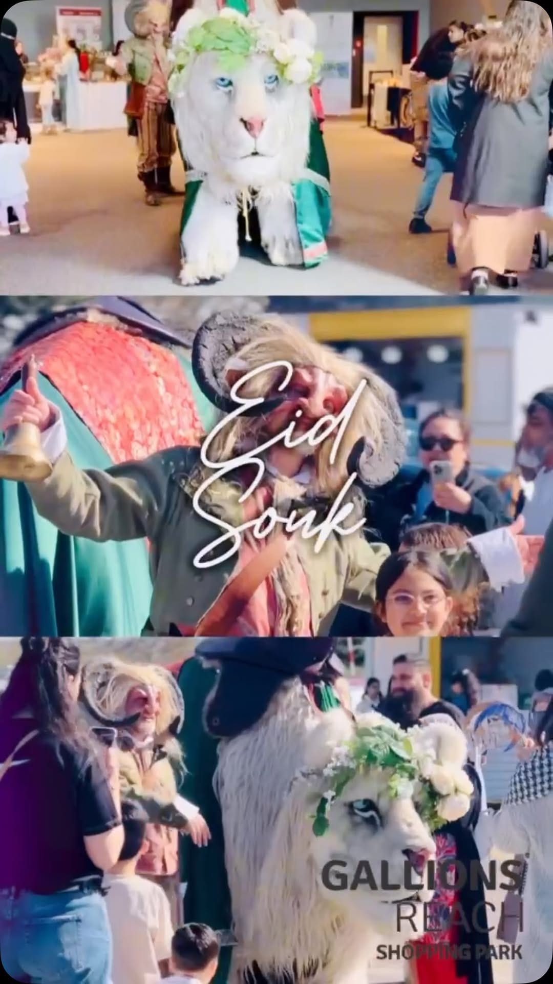 Post 4 by Candyology LTD 🇺🇸🔌 on Instagram (video)