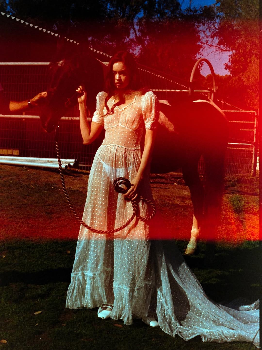 Post 10 by §å¢rêÐ GårÐêñ Vïñ†ågê on Instagram (carousel)