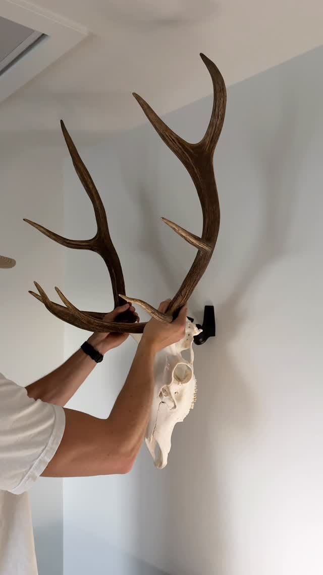 Post 9 by RACK HUB on Instagram (video)