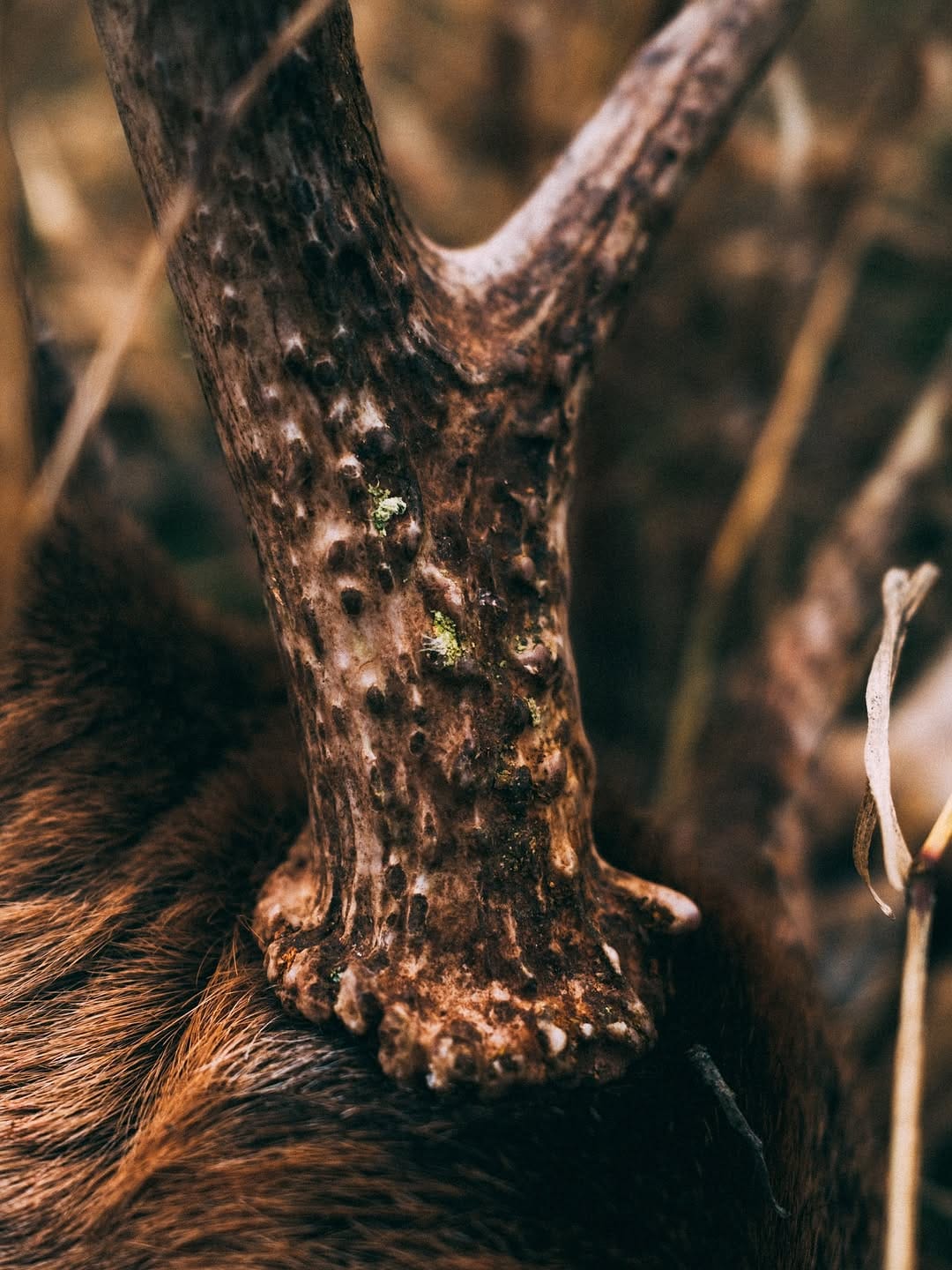 Post 6 by RACK HUB on Instagram (image)
