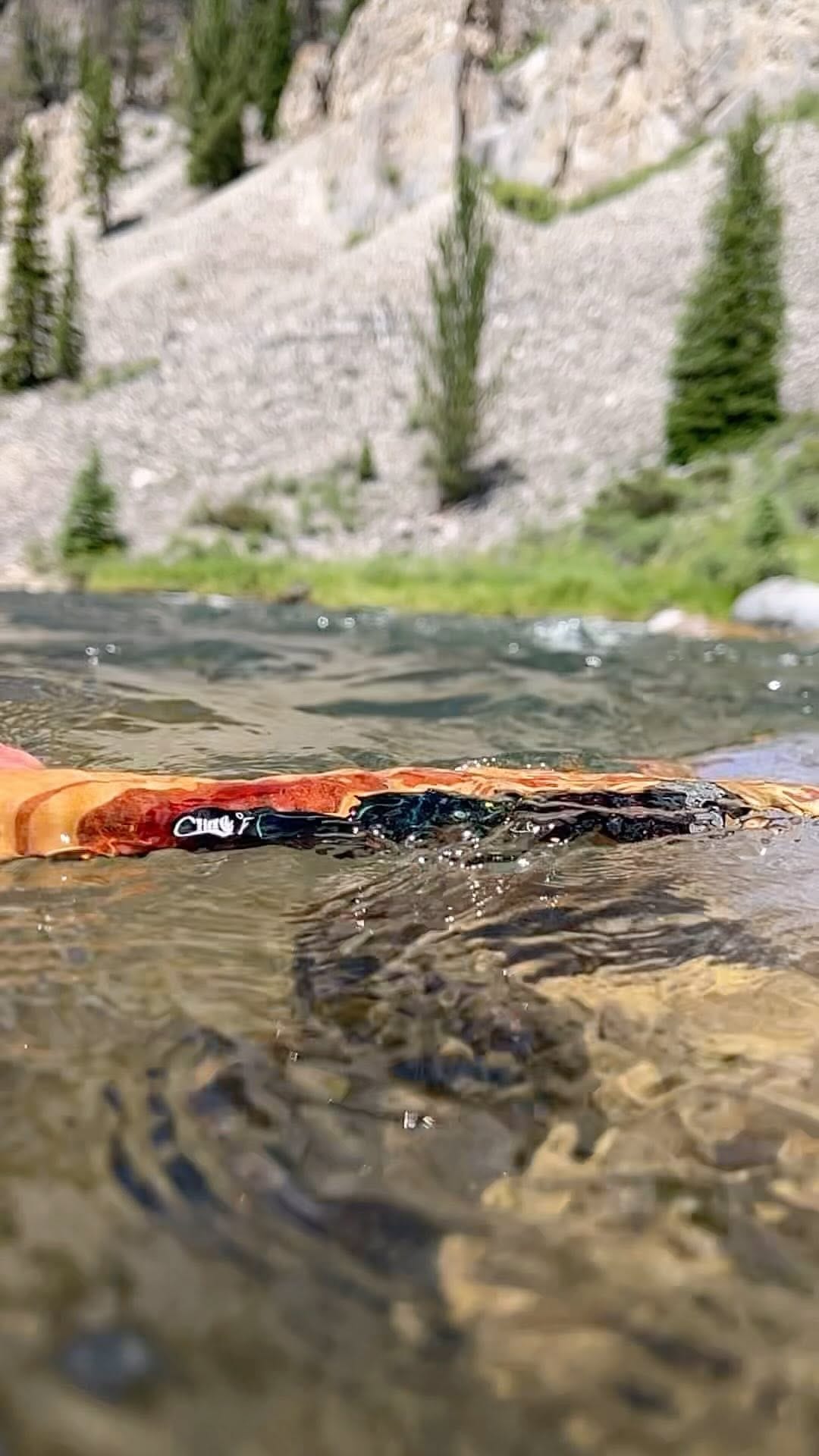 Post 9 by Cling Fishing Products on Instagram (video)