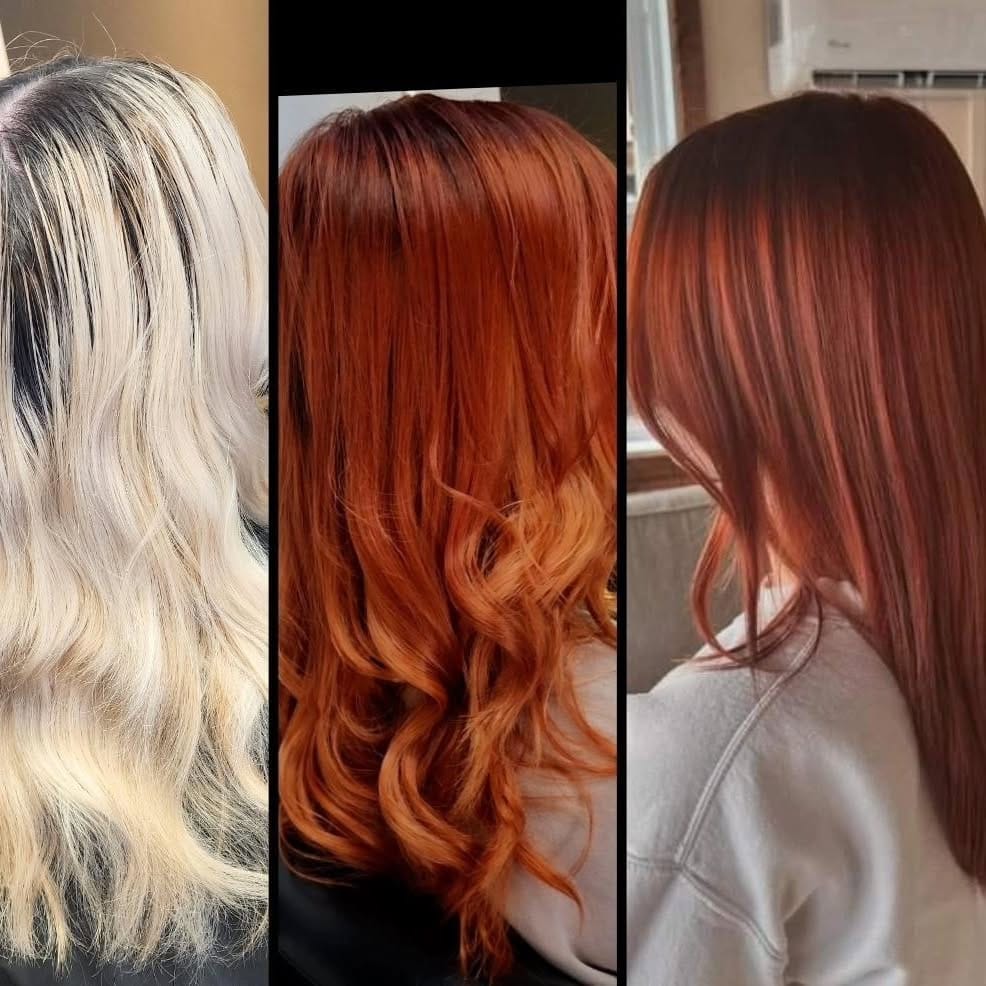 Post 9 by Rob Pizzuti.     226-798-4311 TheTuneUpShop on Erie Street🇮🇹 on Instagram (carousel)