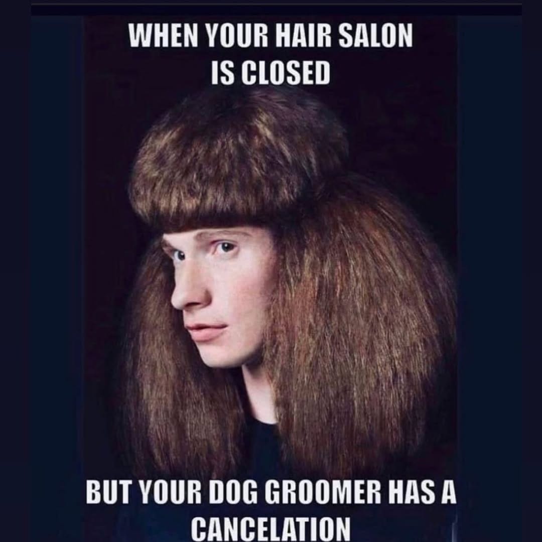 Post 9 by Hello Hair Natural Haircare ™ on Instagram (image)