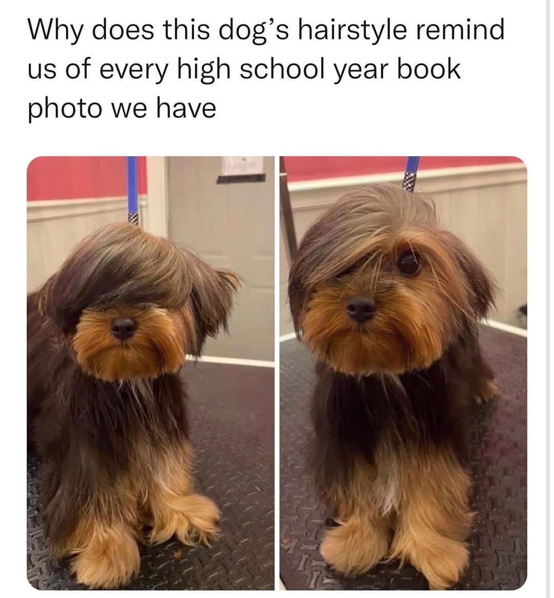 Post 5 by Hello Hair Natural Haircare ™ on Instagram (image)