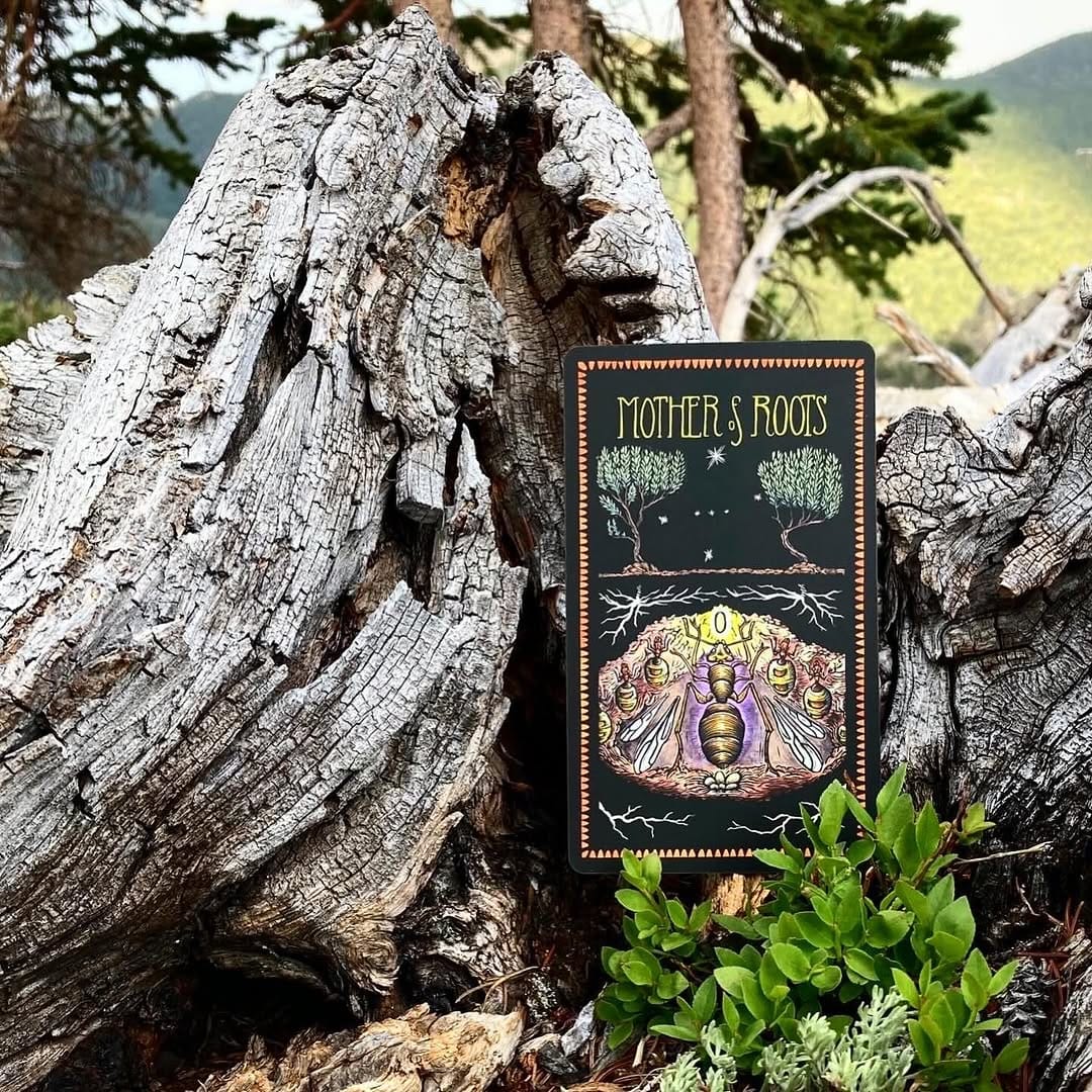 Post 4 by Brady Tarot on Instagram (carousel)