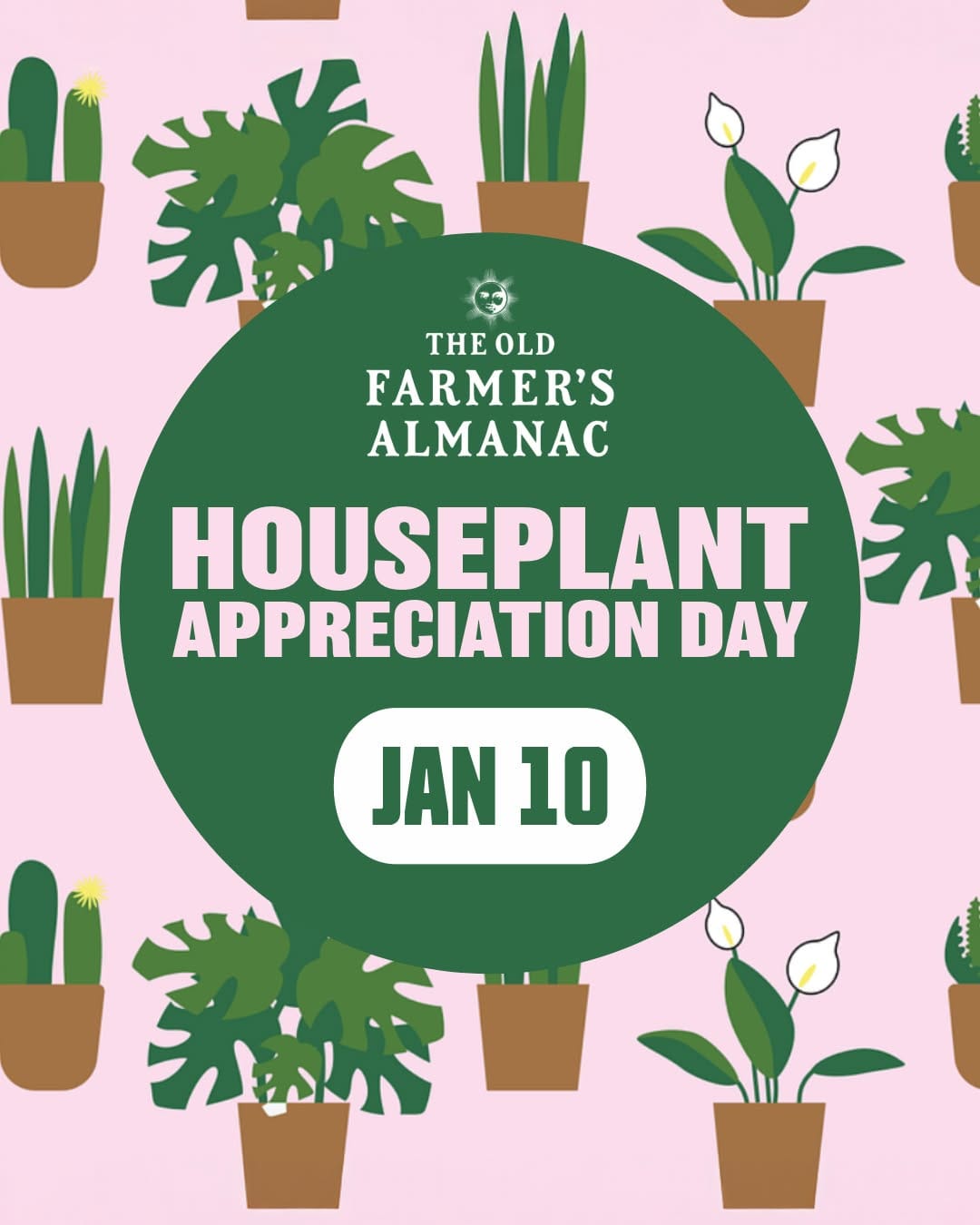 Post 5 by The Old Farmer's Almanac on Instagram (image)