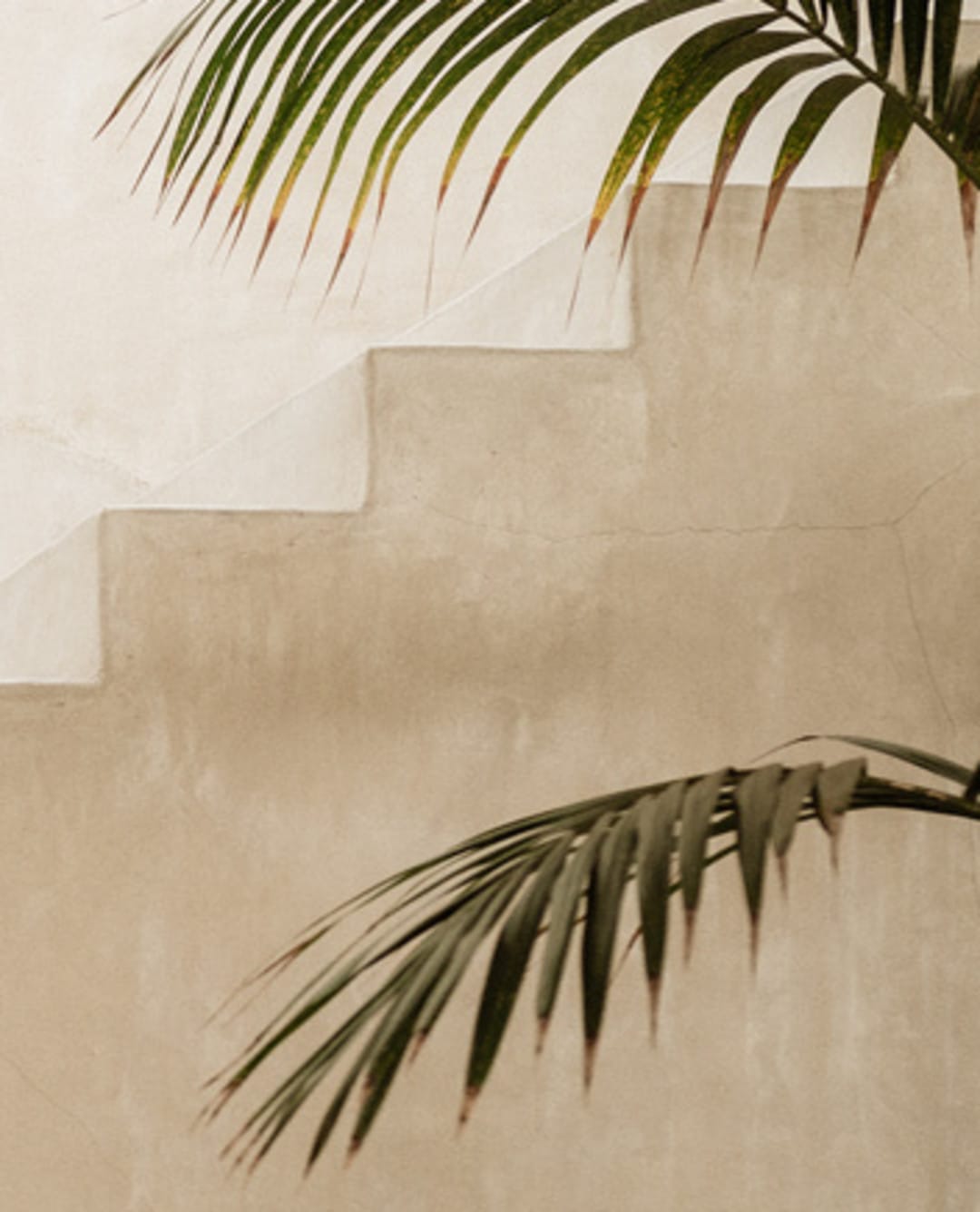 Post 8 by MANDA Organic Skincare on Instagram (image)