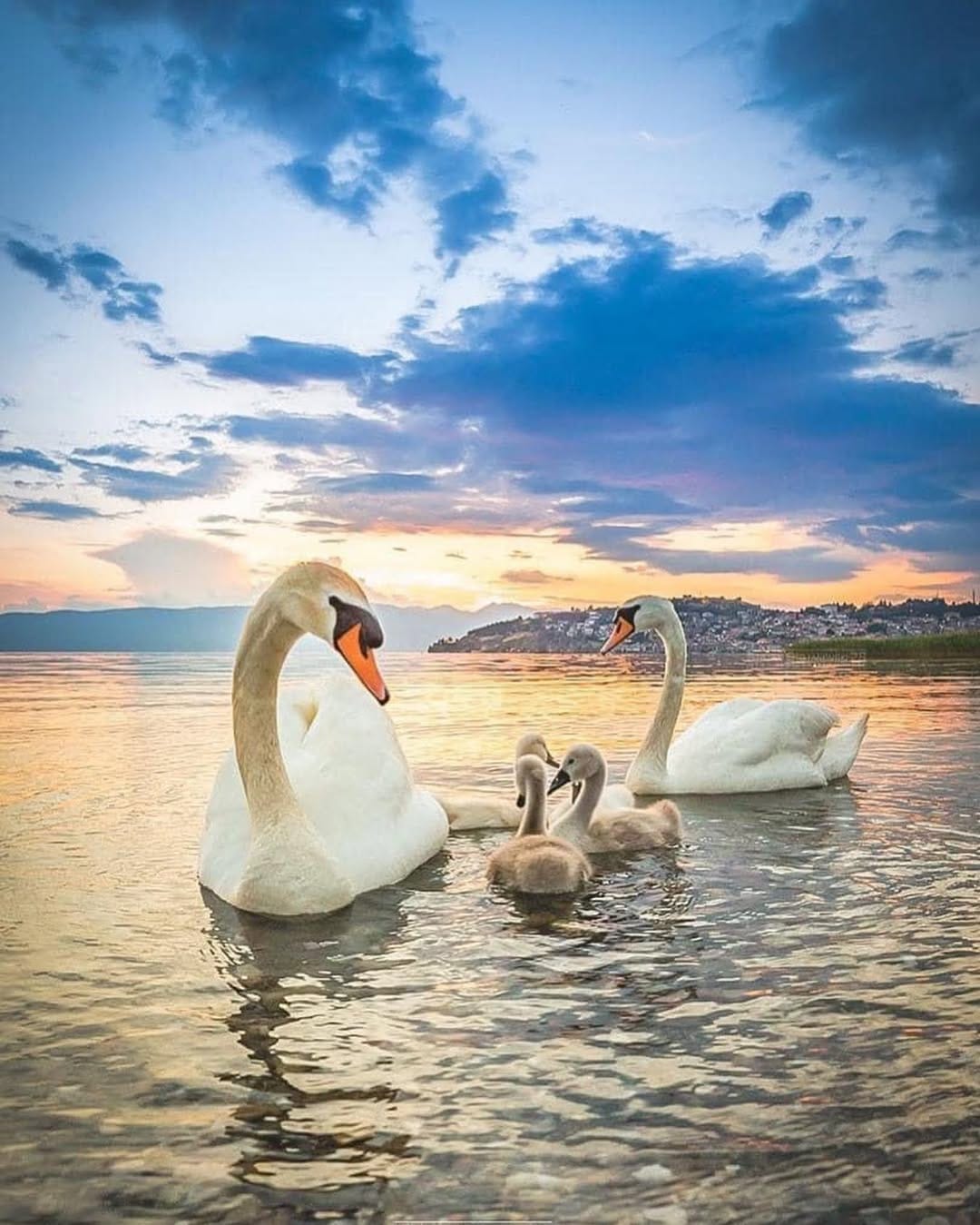 Post 10 by Maya Mia on Instagram (carousel)