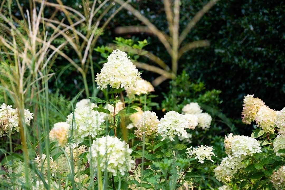 Post 5 by Gardens to Love | Marcia Weber on Instagram (image)