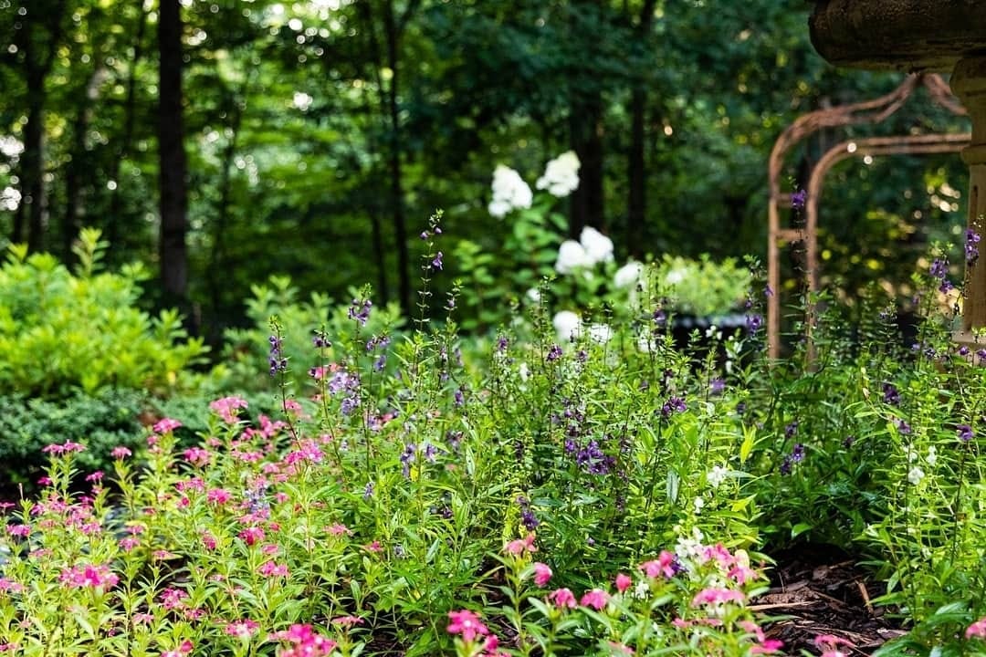 Post 9 by Gardens to Love | Marcia Weber on Instagram (image)