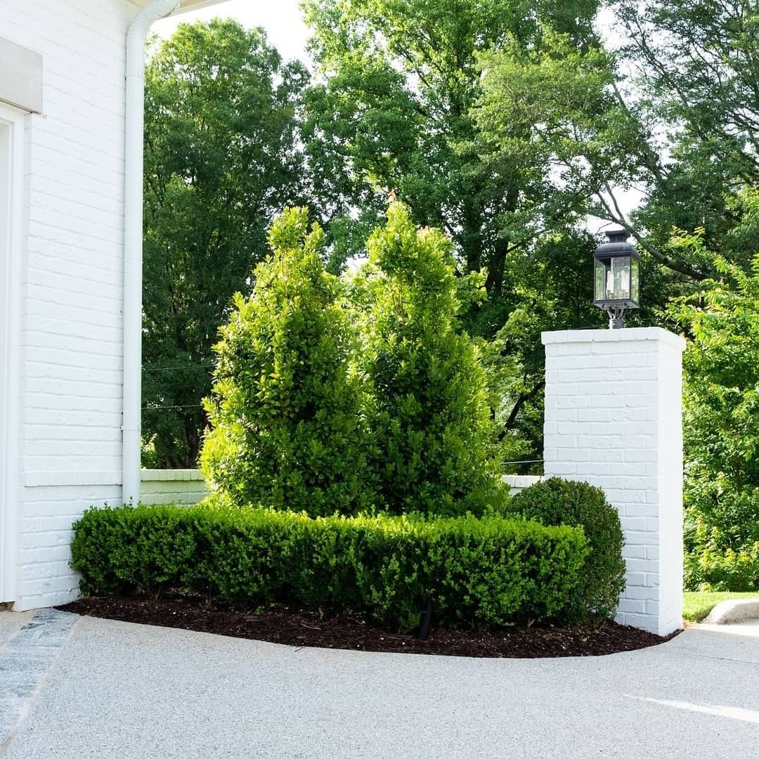 Post 3 by Gardens to Love | Marcia Weber on Instagram (image)