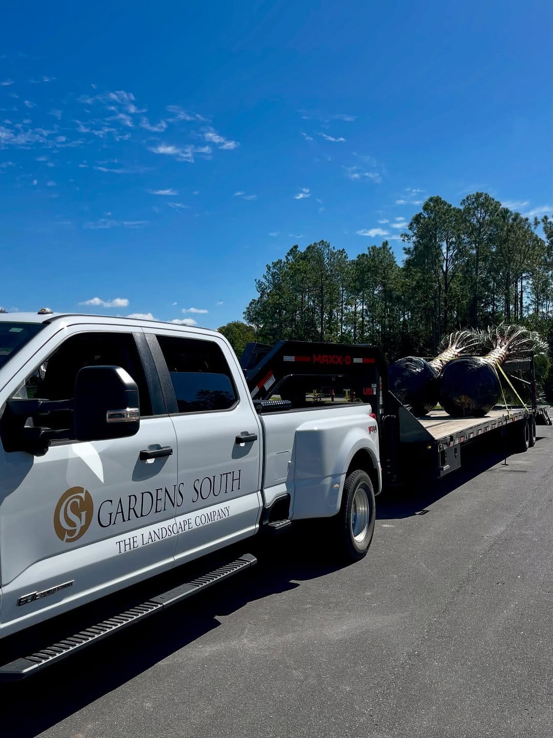 Post 2 by Gardens South Jax, Inc. on Instagram (image)