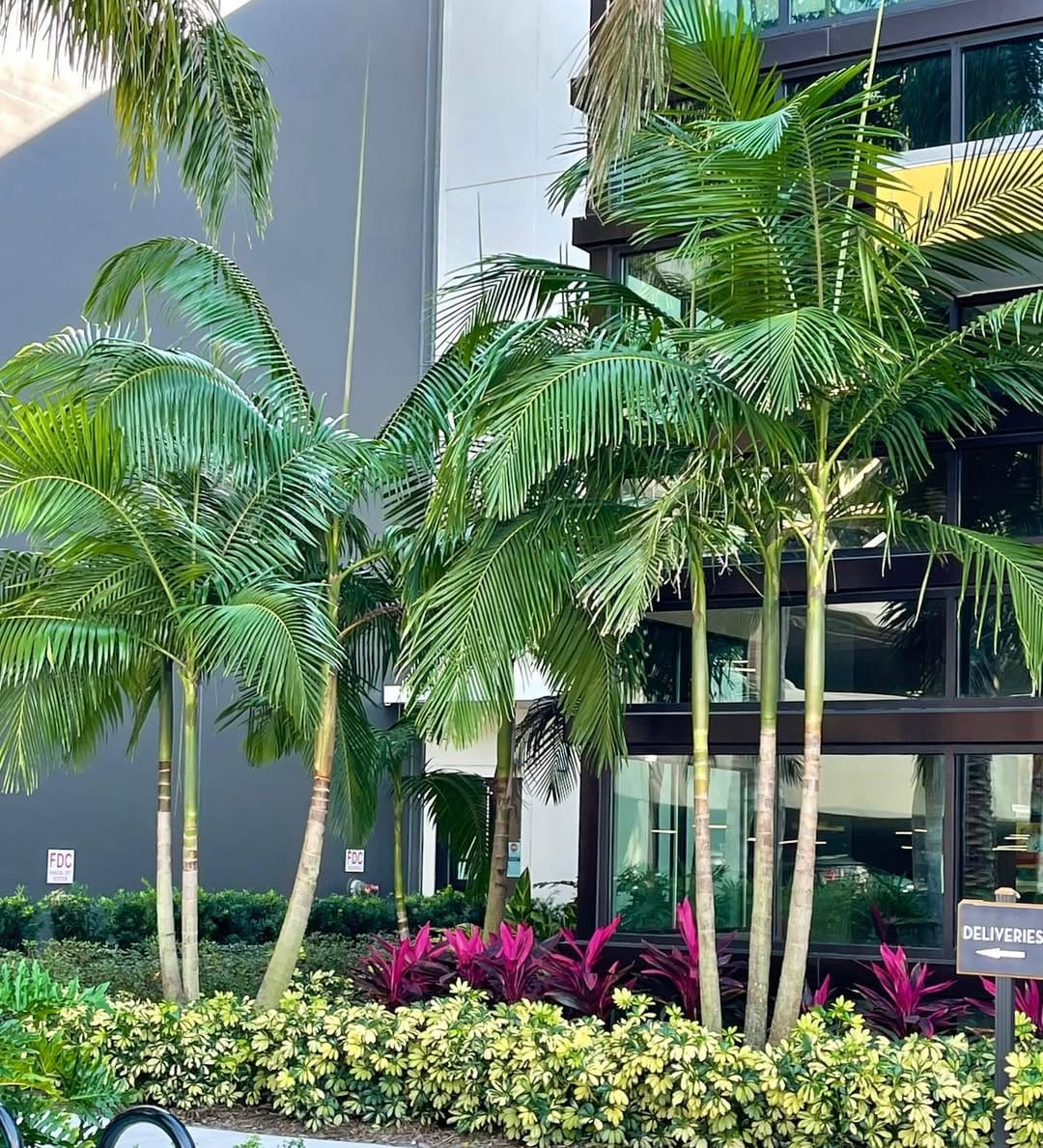 Post 5 by Gardens South Jax, Inc. on Instagram (image)