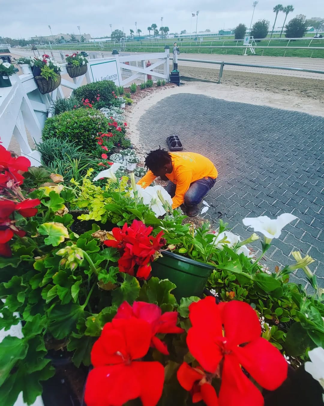 Post 10 by Garden Doctors Landscaping on Instagram (image)