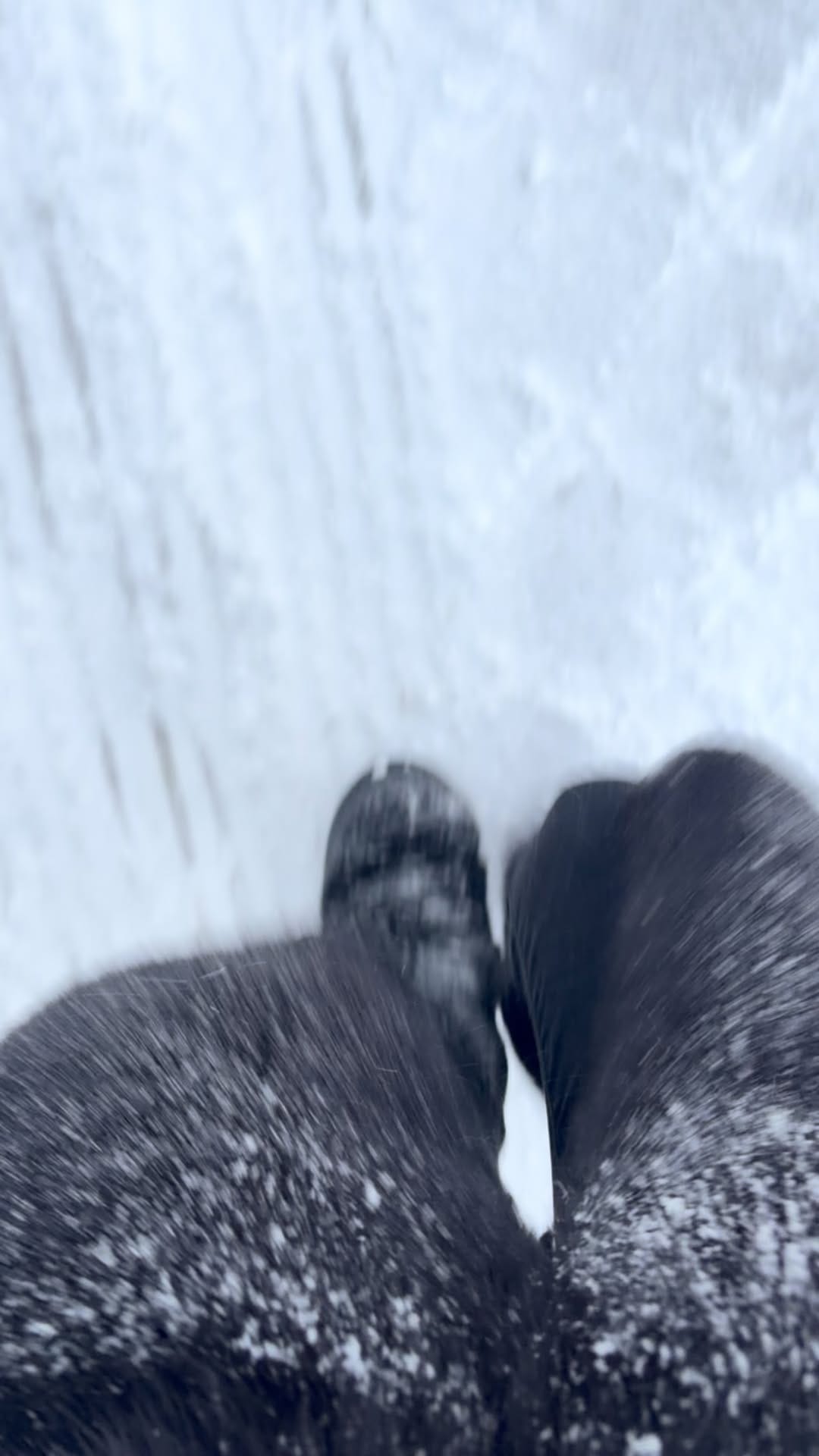 Post 2 by Lou Dohmen 🇧🇷🇧🇪 on Instagram (video)