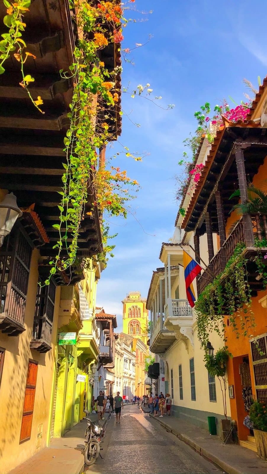 Post 4 by Mariana ⭒ on Instagram (video)