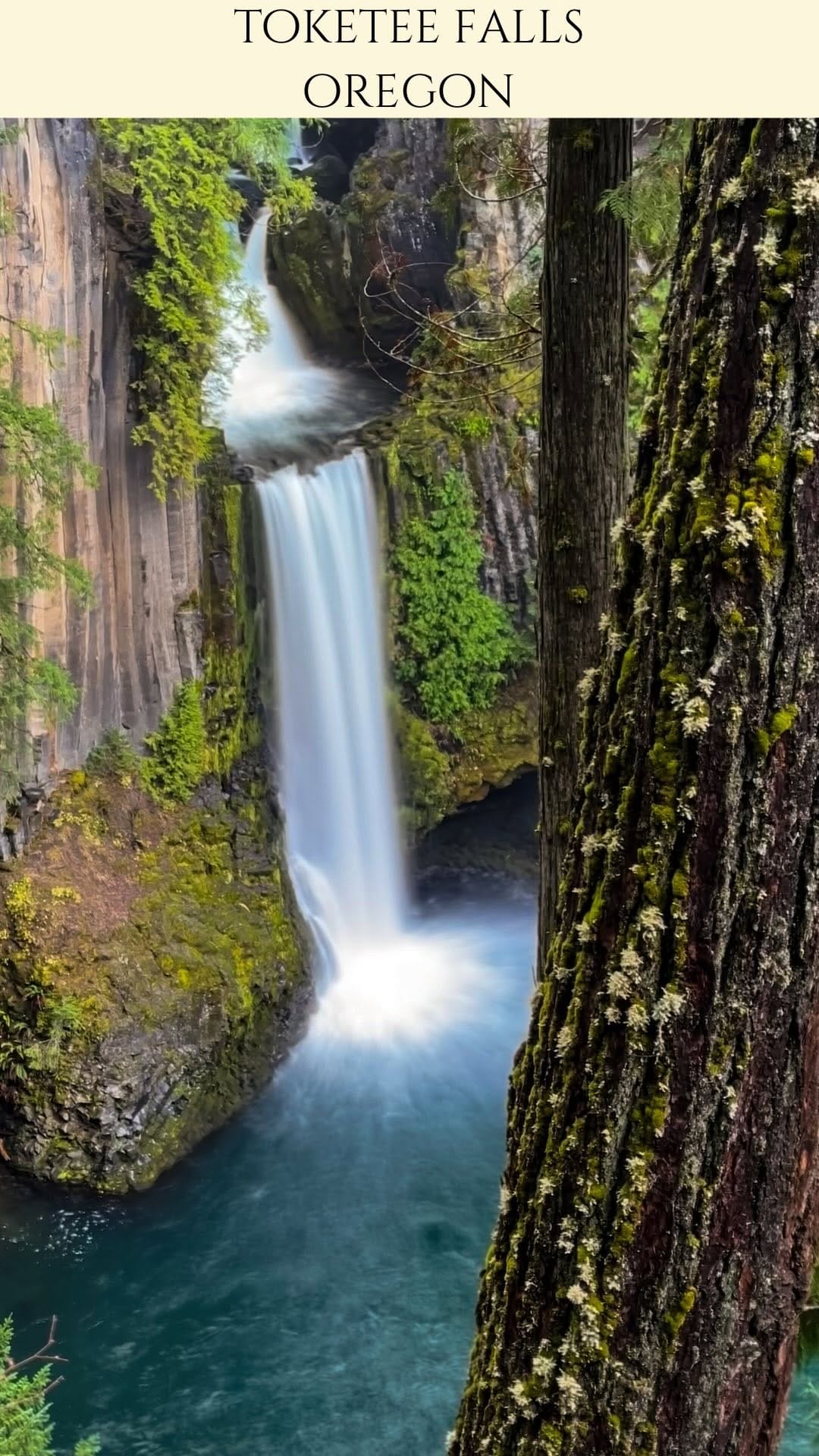 Post 9 by Sushmitha Rao | Travel & Lifestyle on Instagram (video)