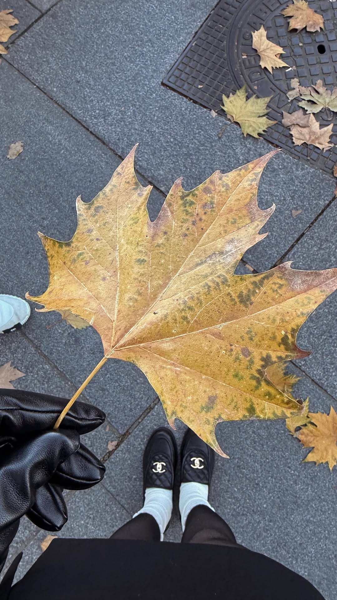 Post 9 by Michelle Marsico - Beauty on Instagram (video)