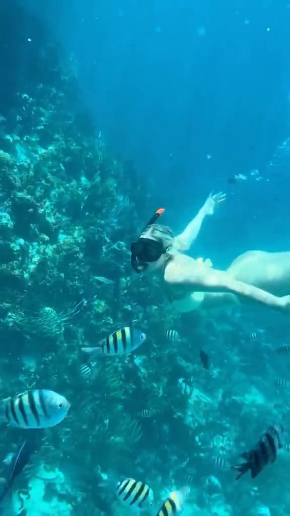 Post 2 by Claudia Caplinger on Instagram (video)