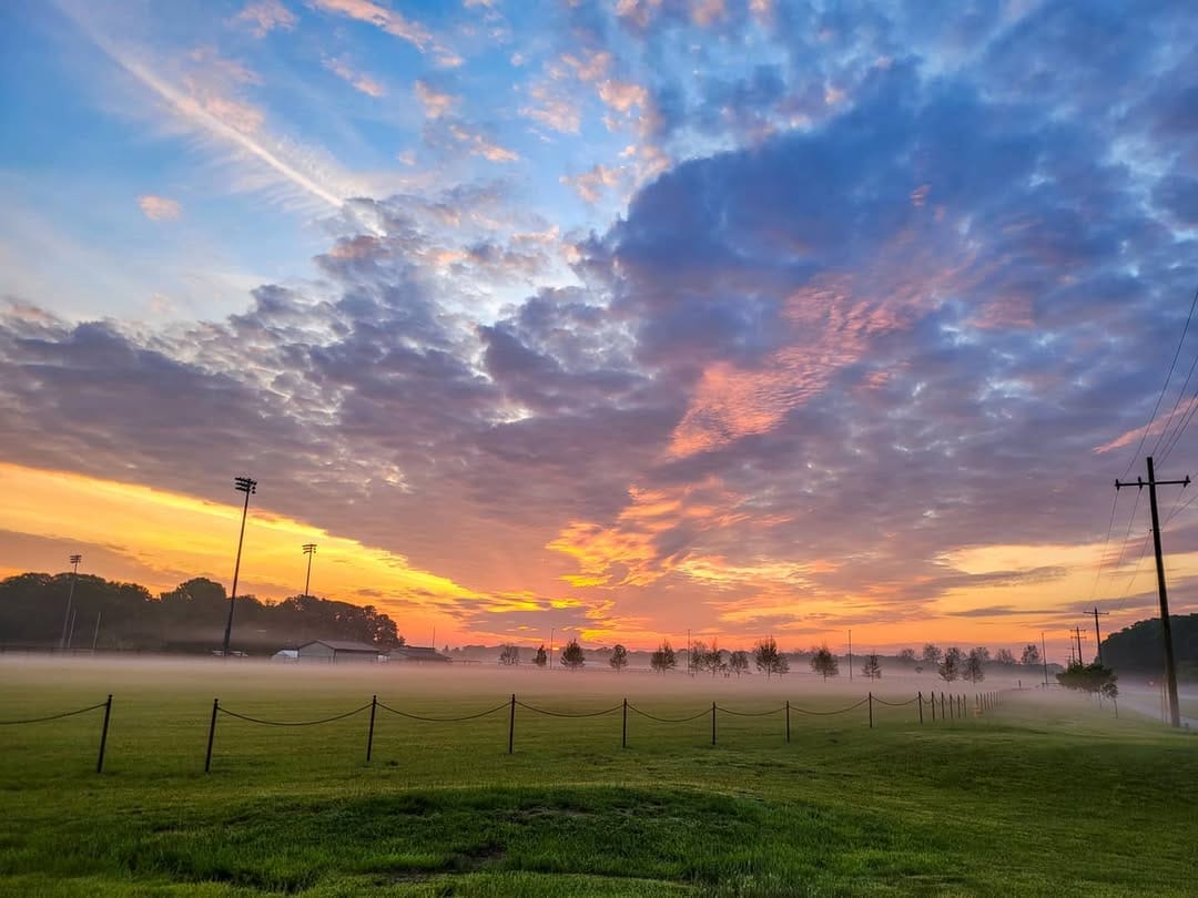 Post 8 by William Techler on Instagram (image)