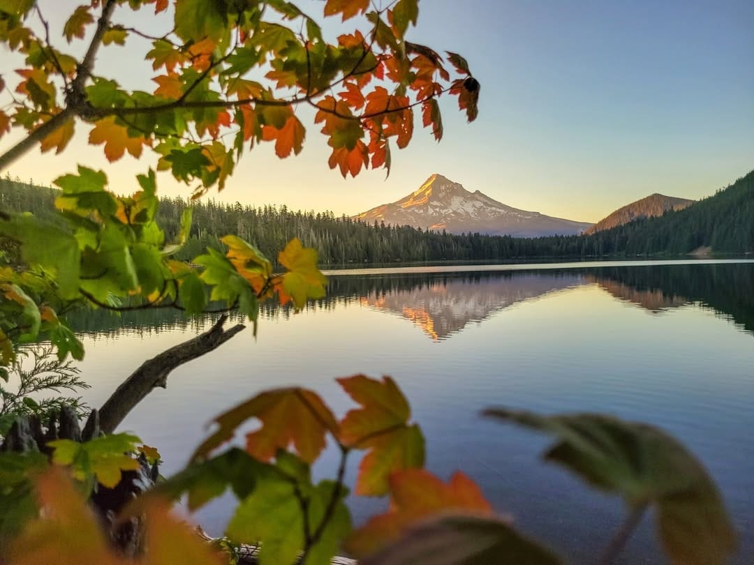 Post 3 by William Techler on Instagram (image)
