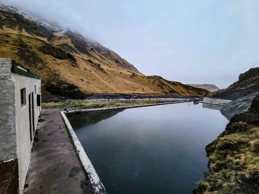 Post 10 by William Techler on Instagram (image)