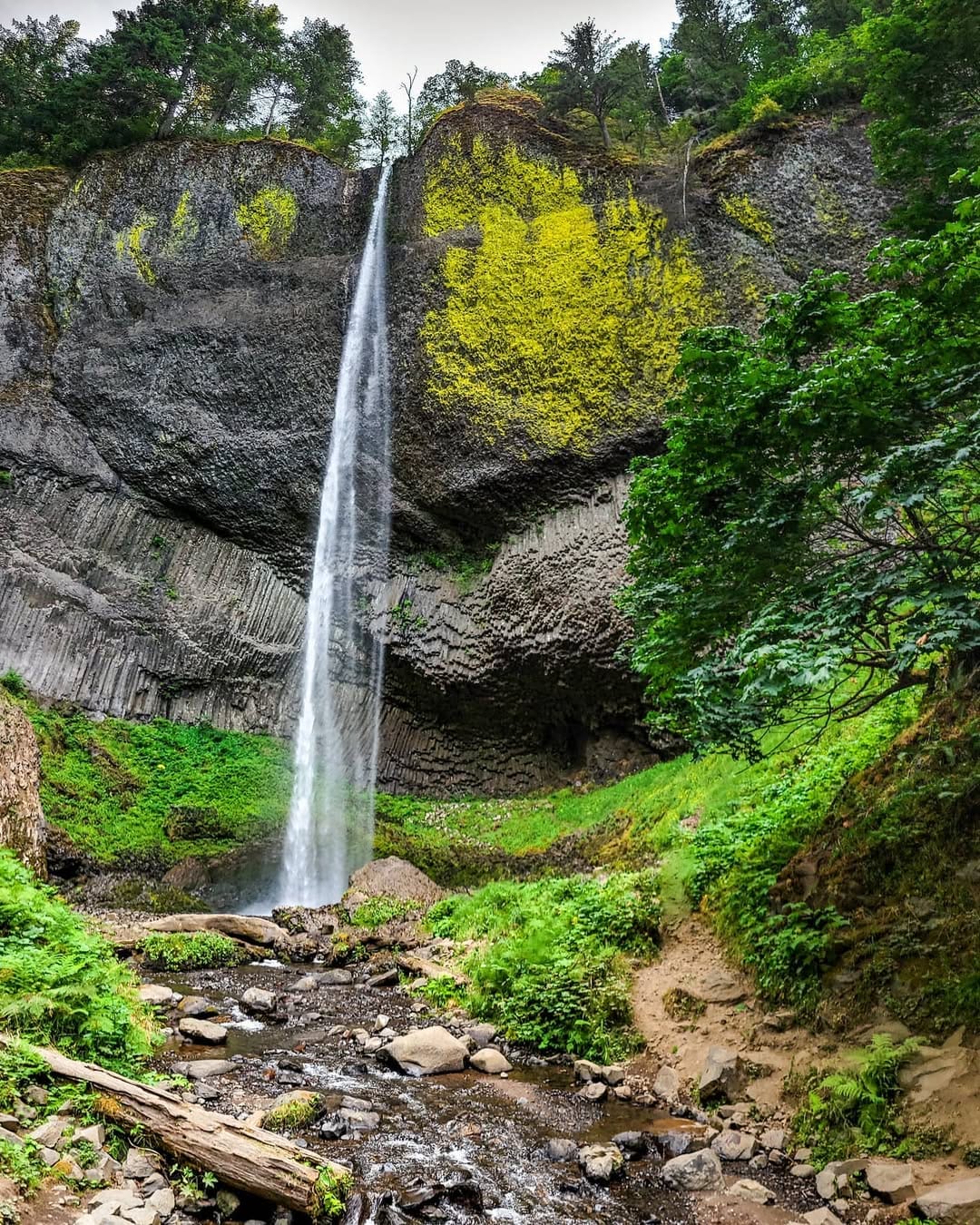 Post 5 by William Techler on Instagram (image)