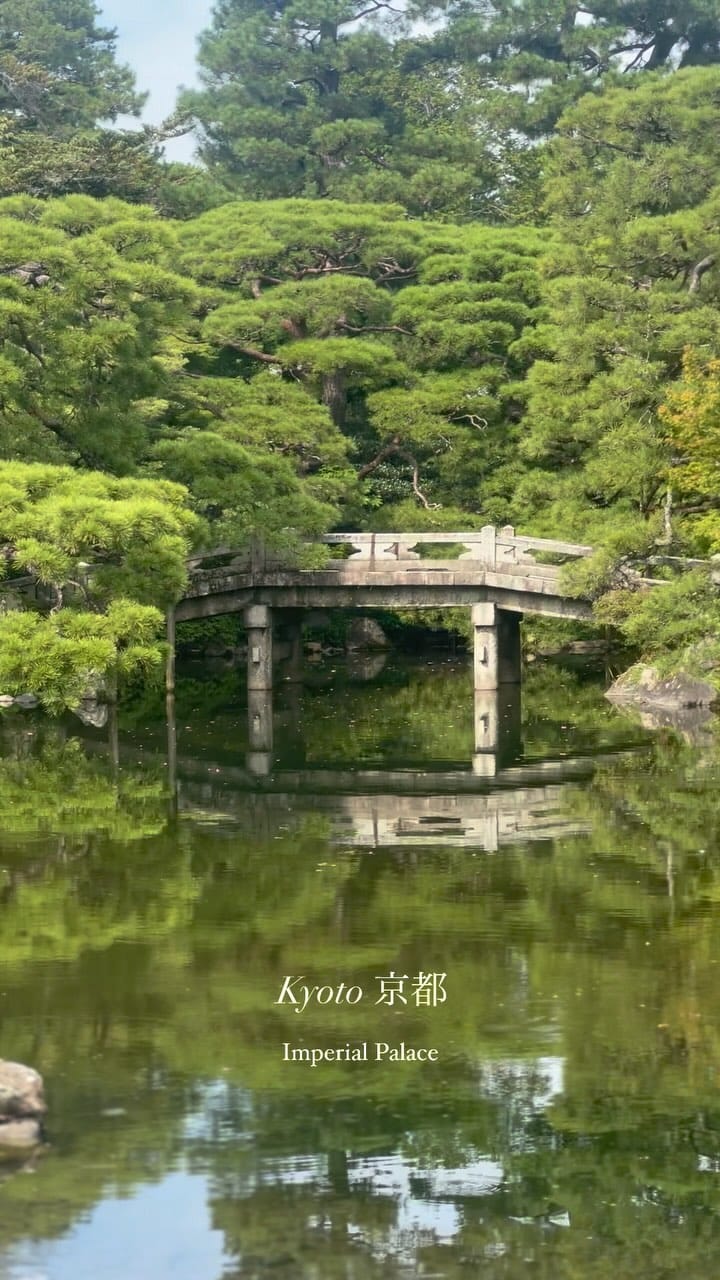 Post 5 by Eli Roque on Instagram (video)