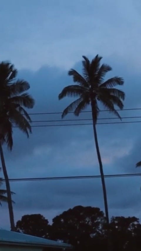 Post 8 by Pat 🐚 on Instagram (video)