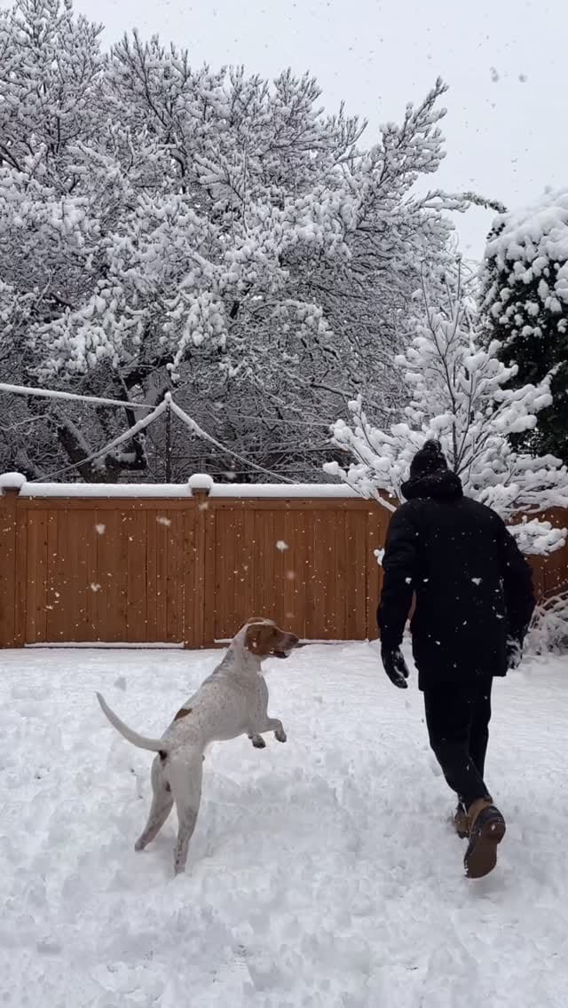 Post 1 by Aubrey Elizabeth Moyer on Instagram (video)