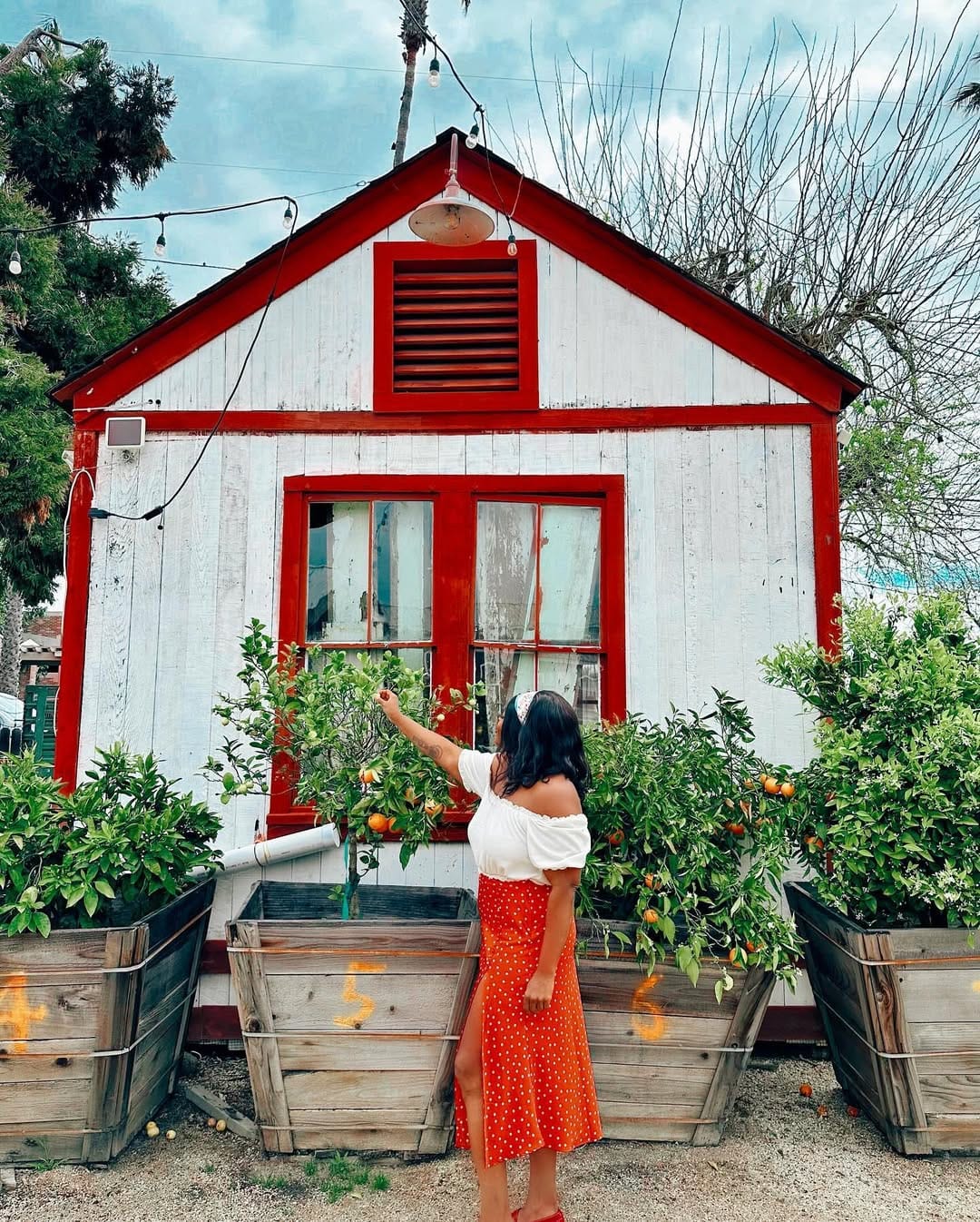 Post 7 by Eli Eli on Instagram (carousel)