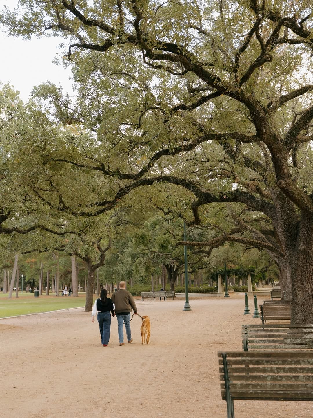 Post 2 by Hannah | Houston Photographer on Instagram (carousel)