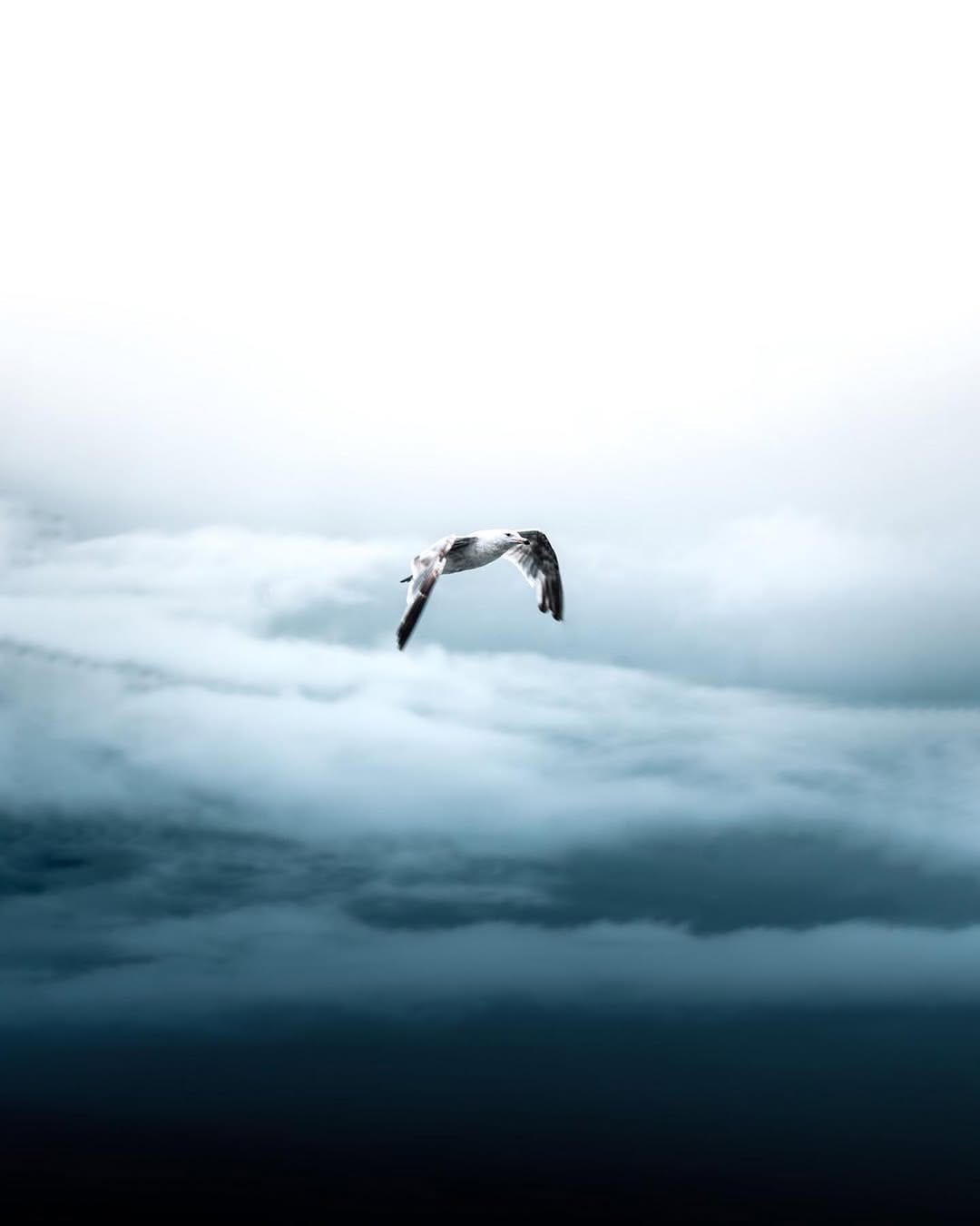 Post 8 by Sanel Trepic | Photographer on Instagram (carousel)