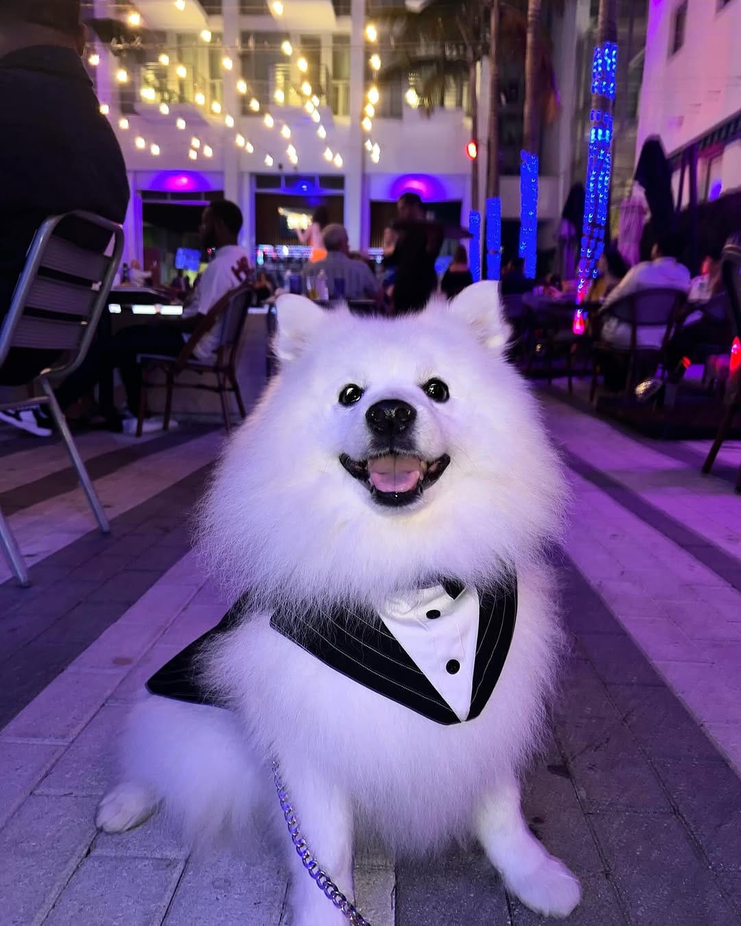 Post 5 by Nikko South Beach on Instagram (carousel)
